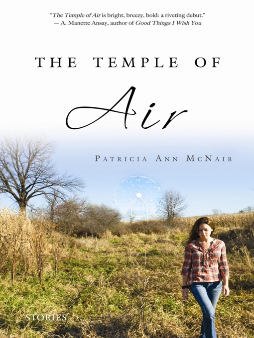 Title details for The Temple of Air by Patricia Ann McNair - Available